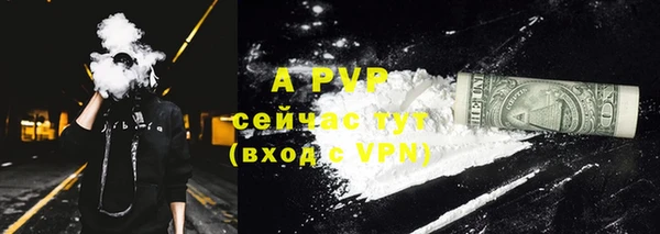 гидра Алексеевка