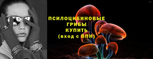 гидра Алексеевка