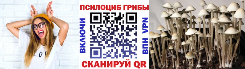 Галлюциногенные грибы GOLDEN TEACHER  где купить   площадка формула  Хотьково 